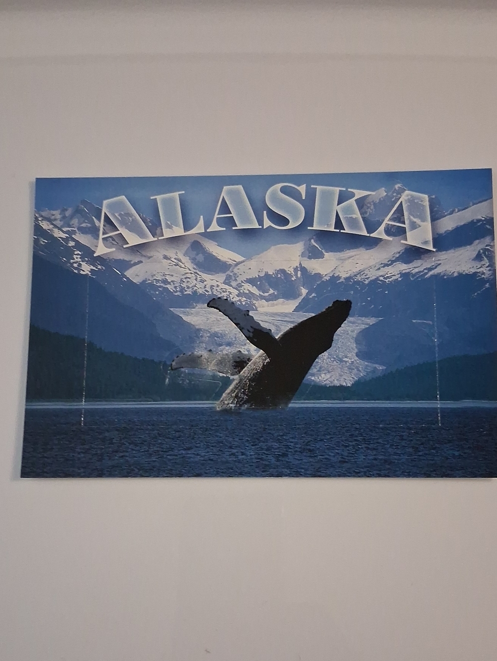 Alaska Blue Whale Post Card- Scenic Ocean Print
